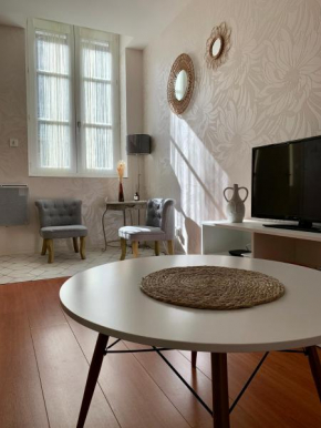 Chouette Appartement Dijon Centre